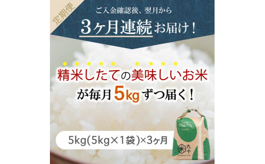 【定期便 3ヶ月】 米 5㎏ まっしぐら 青森県産（精米）