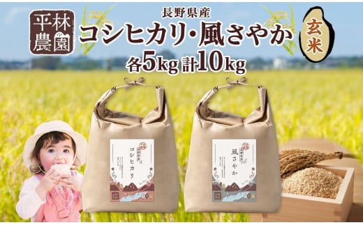 令和6年産 コシヒカリ 風さやか 玄米 各5kg 長野県産 米 お米 ごはん ライス 低GI 甘み 農家直送 産直 信州 人気 ギフト お取り寄せ 平林農園 送料無料 長野県 大町市