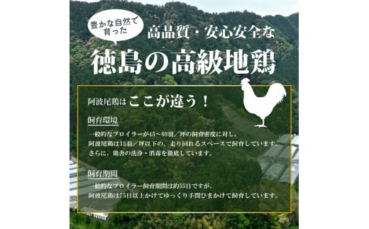 阿波尾鶏 パストラミ 130g×2P 燻製 地鶏 国産 洋風 惣菜 冷凍