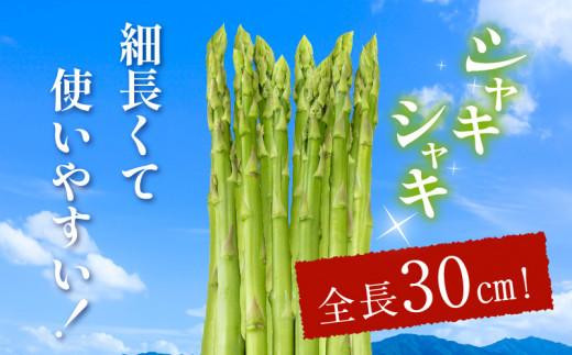 シャキシャキ食感 さぬきのめざめ セミロング 30cm ( Lサイズ 以上 ) 約1.5kg【2024-7月上旬～2024-10月中旬配送】