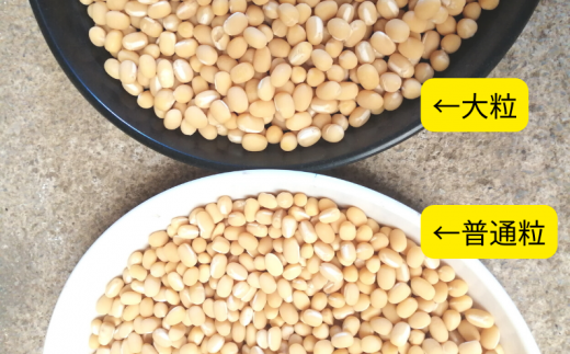 大粒と普通粒の比較です。粒あんを作る場合は、粒が残りやすい大粒をおすすめします。（別返礼品として大粒もご紹介しています）