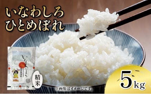 新米　いなわしろひとめぼれ( 精米 ) 5kg お米 白米 福島 やわらかい 和食 [№5771-1313]