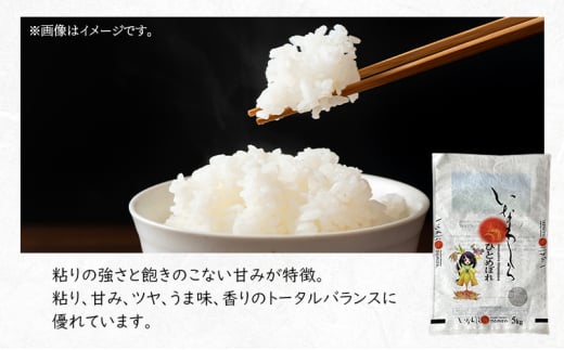 新米　いなわしろひとめぼれ( 精米 ) 5kg お米 白米 福島 やわらかい 和食 [№5771-1313]