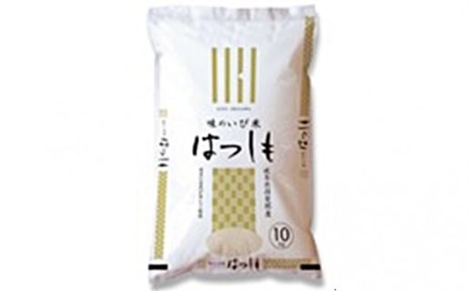 岐阜県揖斐郡産 味のいび米 はつしも 精米20kg [№5644-0570]