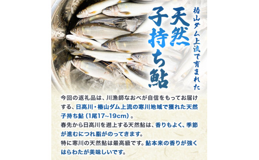 日高川椿山ダム上流 天然子持ち鮎 17cm-19cm 5尾×2パック 計10尾  川漁師なおべ《10月下旬-1月上旬頃出荷》 和歌山県 日高川町 あゆ 鮎 天然鮎 魚