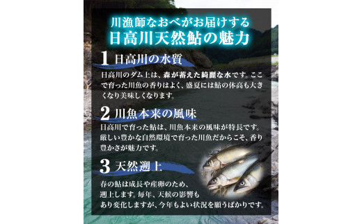 日高川椿山ダム上流 天然子持ち鮎 17cm-19cm 5尾×2パック 計10尾  川漁師なおべ《10月下旬-1月上旬頃出荷》 和歌山県 日高川町 あゆ 鮎 天然鮎 魚