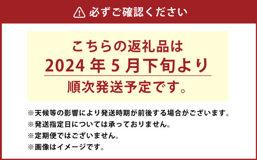 L-28 神栖市 特産品 タカミメロン 4玉 3L以上 