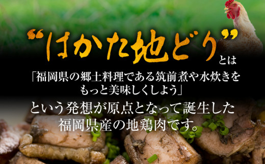 はかた地どり炭火焼セット500g（100g×5p） お取り寄せグルメ お取り寄せ 福岡 お土産 九州 福岡土産 取り寄せ グルメ 福岡県