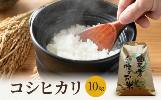 米 令和6年産 コシヒカリ 10kg 白米 精米 こめ コメ 一等米 特A 特a米 新米 こしひかり 山心ファーム 福井 福井県 若狭町 [№5580-0496]