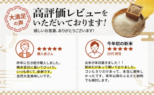 米 令和6年産 コシヒカリ 10kg 白米 精米 こめ コメ 一等米 特A 特a米 新米 こしひかり 山心ファーム 福井 福井県 若狭町 [№5580-0496]