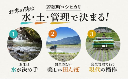 米 令和6年産 コシヒカリ 10kg 白米 精米 こめ コメ 一等米 特A 特a米 新米 こしひかり 山心ファーム 福井 福井県 若狭町 [№5580-0496]