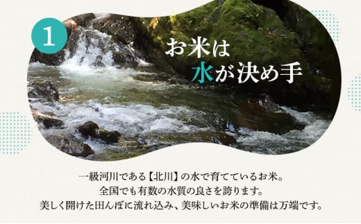 米 令和6年産 コシヒカリ 10kg 白米 精米 こめ コメ 一等米 特A 特a米 新米 こしひかり 山心ファーム 福井 福井県 若狭町 [№5580-0496]