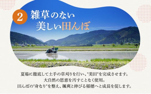 米 令和6年産 コシヒカリ 10kg 白米 精米 こめ コメ 一等米 特A 特a米 新米 こしひかり 山心ファーム 福井 福井県 若狭町 [№5580-0496]