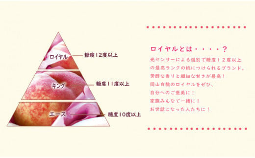 【2025年発送分 先行受付スタート！】岡山県産 白桃 最高ランク！ロイヤル約1.5kg 5～7玉（令和７年7月以降発送）