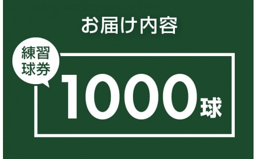 鐘山ゴルフセンター練習球券（1000球券）