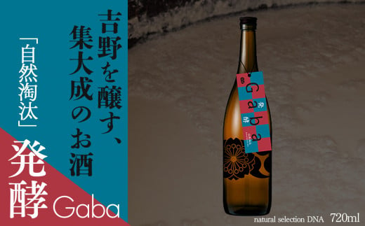 自然淘汰 natural selection DNA Gaba "発酵"｜日本酒 酒蔵 限定品