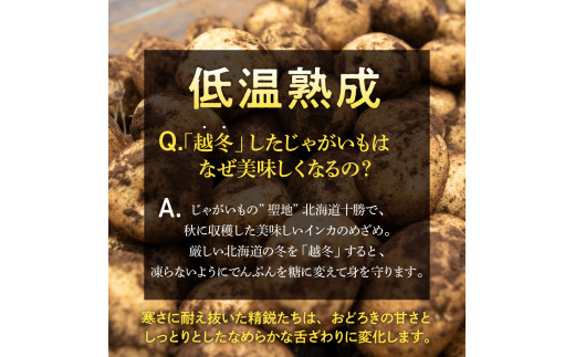 【先行受付】【2025年2月より順次発送】北海道十勝芽室町  雪室熟成越冬インカのめざめ5kg me001-005c