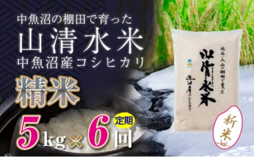 【令和6年産】【定期便／全6回】精米5kg　新潟県魚沼産コシヒカリ「山清水米」十日町市 米