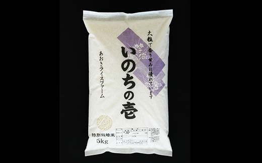 【令和6年産 新米 先行予約】 【金賞受賞農家】 《定期便6回》 特別栽培米 いのちの壱 5kg×6か月 《令和6年10月中旬～発送》 『あおきライスファーム』 山形南陽産 米 白米 精米 ご飯 農家直送 山形県 南陽市 [1617-RR6]