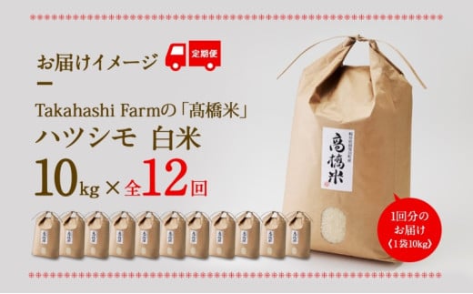 [№5568-0180]定期便 全12回 岐阜県 揖斐川町産 令和6年 ハツシモ 高橋米 10kg 1袋 お米 精米 白米 米 ごはん ご飯 はつしも あっさり ブランド米 10キロ 大粒 幻の米 高橋ファーム Takahashi Farm 揖斐川町