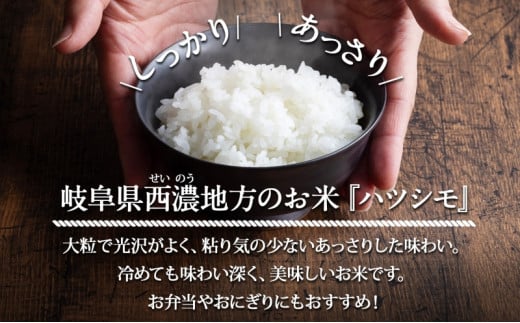 [№5568-0180]定期便 全12回 岐阜県 揖斐川町産 令和6年 ハツシモ 高橋米 10kg 1袋 お米 精米 白米 米 ごはん ご飯 はつしも あっさり ブランド米 10キロ 大粒 幻の米 高橋ファーム Takahashi Farm 揖斐川町