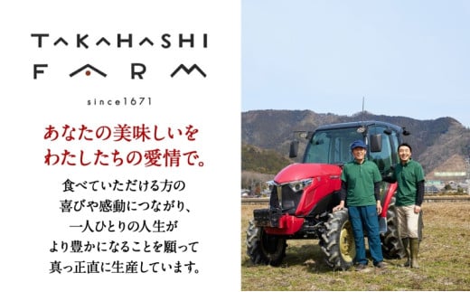 [№5568-0180]定期便 全12回 岐阜県 揖斐川町産 令和6年 ハツシモ 高橋米 10kg 1袋 お米 精米 白米 米 ごはん ご飯 はつしも あっさり ブランド米 10キロ 大粒 幻の米 高橋ファーム Takahashi Farm 揖斐川町