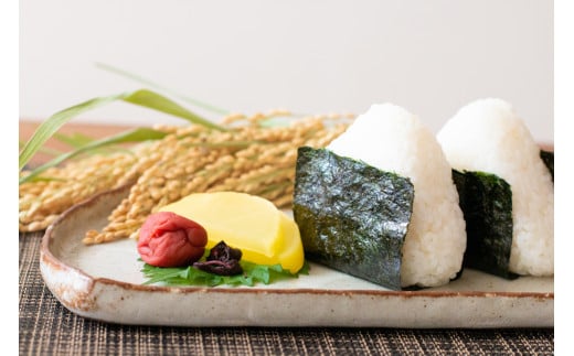 【令和7年産】妙高産こしひかり特別栽培米5kg