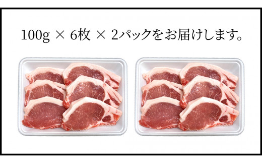 茨城県銘柄豚 「常陸の輝き」 ステーキ ・ とんかつ 用 ロース 1.2kg ( 100g × 6枚 × 2 パック ) (茨城県共通返礼品) 小分け ブランド豚 三元豚 豚肉 肉 冷凍 [FA007sa]