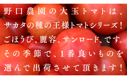 野口農園！ 王様トマト 約2kg ( 8～12個入り )！ ごほうび・麗容・サンロード トマト ごほうび 麗容 サンロード 新鮮 美味しい 野菜