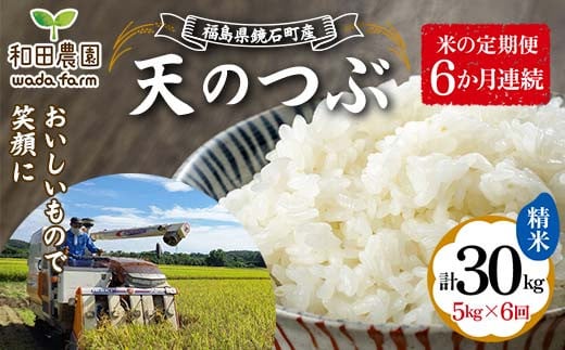 【米の定期便】福島県鏡石町産 和田農園「天のつぶ」精米5kg 6か月連続 F6Q-199