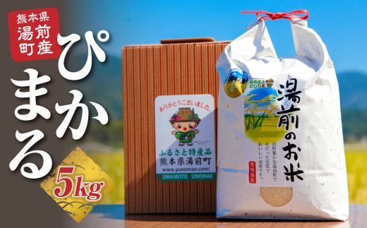 数量限定！令和5年産 湯前産ぴかまる５kg