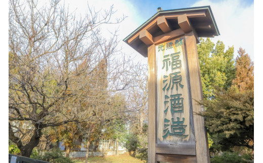 【8年たっぷり寝かせた】造り酒屋の梅酒 500ml ×3本 [福源酒造 長野県 池田町 48110468] お酒 梅酒 日本酒 まろやか 醸造元 蔵元 酒蔵