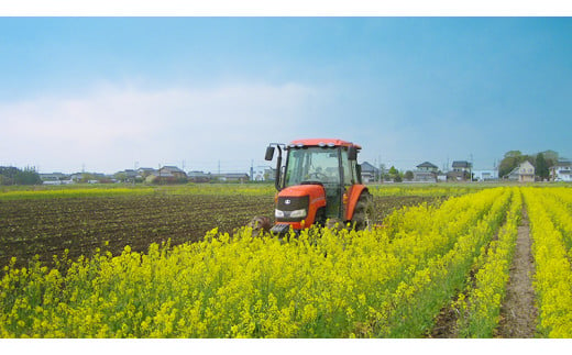 【 先行予約 】【 10月 発送開始 】 令和6年産 コシヒカリ ( 精米 10kg ) 特別栽培 菜の花米 「菜菜ちゃん」  米 こめ ごはん ご飯 白米 国産 茨城県産 新生活 プレゼント 新生活応援 必要なもの 便利 おすすめ 消耗品 一人暮らし 二人暮らし 必要 こしひかり おいしい お土産 ギフト 贈答 おみやげ