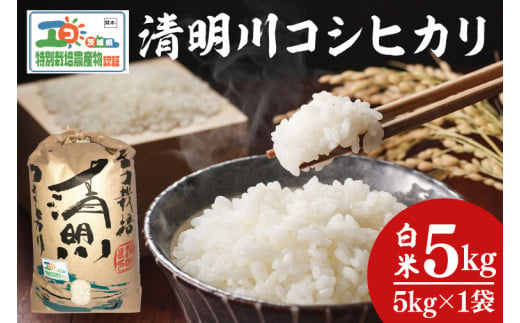 04-01 茨城県特別栽培認証 清明川コシヒカリ白米5kg【令和６年産新米】【米 おこめ こしひかり  特別栽培米 農家直送 直送 茨城県 阿見町】