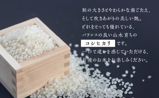 【2024年産米】かみはら山水農園 山水育ち (コシヒカリ）3kg(1kg×3袋）精米 米 令和6年産 下呂温泉 こしひかり おすすめ 3キロ 下呂市 上原