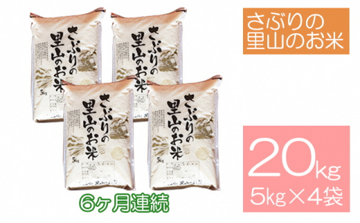 定期便 【6ヶ月連続】さぶりの里山のお米　コシヒカリ精米　5kg×4袋セット（20kg）