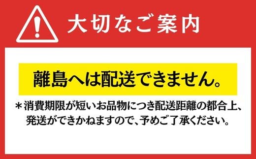 【期間限定】とちおとめ 大玉のみを厳選してお届け1パック約330ｇ（容器含む）6粒～12粒程度 2パックセット 計約660ｇ（容器含む） 土耕栽培いちご こだわりとちおとめ 完熟いちごならではの濃厚な味 いちごにベストな土耕栽培 スッキリした酸味と甘さのバランスが絶妙 栄養たっぷりの土で育てた完熟いちご 土耕栽培　新鮮 完熟 埼玉県 川島町 いちごファクトリー 