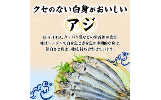 伊豆直送 小あじ干物10尾 S3 [№5227-0250]