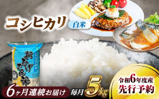 コシヒカリ 白米 5kg×6回 定期便 新米令和6年度産 