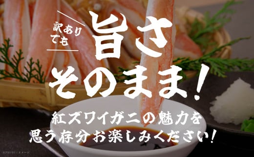 《3月初旬より順次配送》【訳あり】日本海沖産　紅ズワイガニ 約3kg/冷蔵　　冷蔵  ズワイガニ 約 3kg 紅ズワイガニ ベニズワイガニ ずわい ズワイ蟹 ずわいがに ずわい蟹 姿 ボイル 訳あり 蟹 カニ かに 国産 蟹 不揃い 傷 緊急 カニみそ入り 潟上市 【安田水産】