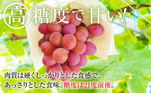 【数量限定】2023 長野県産　クイーンニーナ　約1kg　6パック粒採り　国際特許 有機肥料栽培 【10月中旬頃～順次発送予定】