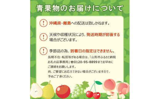 【定期便4回】山形のフルーツを食べ尽くし！厳選フルーツ定期便F 【令和7年産先行予約】FS24-803