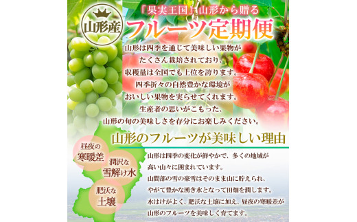 【定期便4回】山形のフルーツを食べ尽くし！厳選フルーツ定期便F 【令和7年産先行予約】FS24-803