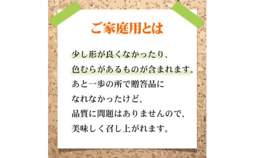 ＜先行予約＞【2024年8月発送開始】ご家庭用ピオーネ 500g×2房 TY0-0299