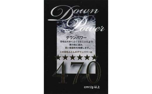 ポーランドマザーグースダウン アリアナ掛け布団 シングル ブルー 1枚 150×210cm 羽毛布団 ダウンパワー470以上 SM961150 [4988]