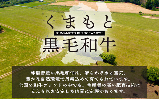 くまもと黒毛和牛 切り落とし 500g