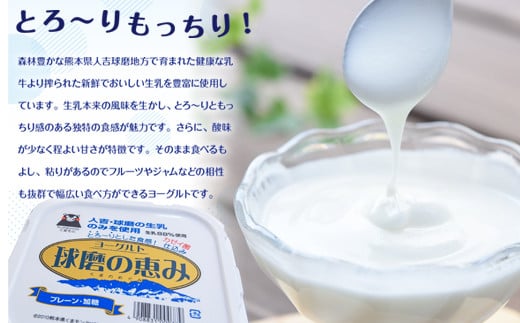 【順次配送】ヨーグル党総選挙　ム党の部　2年連続の第2位受賞！とろ～りもっちり!球磨の恵みヨーグルトセット(加糖・砂糖不使用各1kgx2個　計4個)
