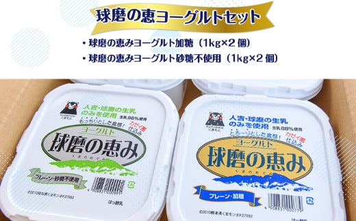 【順次配送】ヨーグル党総選挙　ム党の部　2年連続の第2位受賞！とろ～りもっちり!球磨の恵みヨーグルトセット(加糖・砂糖不使用各1kgx2個　計4個)