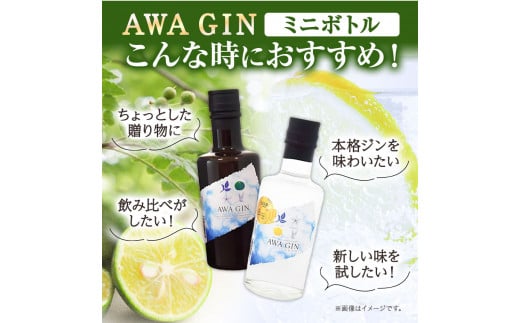 AWA GINお試しミニボトルセット(200ml ×2本) 日新酒類株式会社 《30日以内出荷予定(土日祝除く)》お酒 酒 ジン アルコール ギフト プレゼント 送料無料 徳島県 上板町