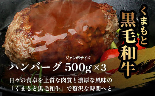 【通常発送】ビッグサイズ！くまもと 黒毛和牛  DREAMジャンボバーグ 500g×3パック 計1.5g 《 牛肉 100％ 国産 大 ボリューム 生 ハンバーグ お祝い パーティ 熊本 ブランド牛 黒毛 和牛 上質 はんばーぐ 惣菜 熊本県 》 113-0509